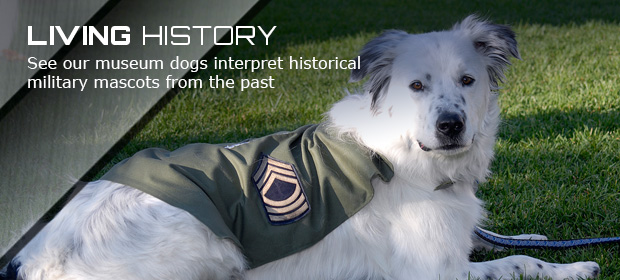 Peterson Aiir and Space Mascot Dog slide image